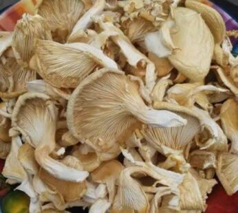 Dried Mushroom(100gm)