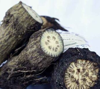 চুইঝাল-1kg